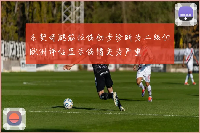 东契奇腿筋拉伤初步诊断为二级但欧洲评估显示伤情更为严重